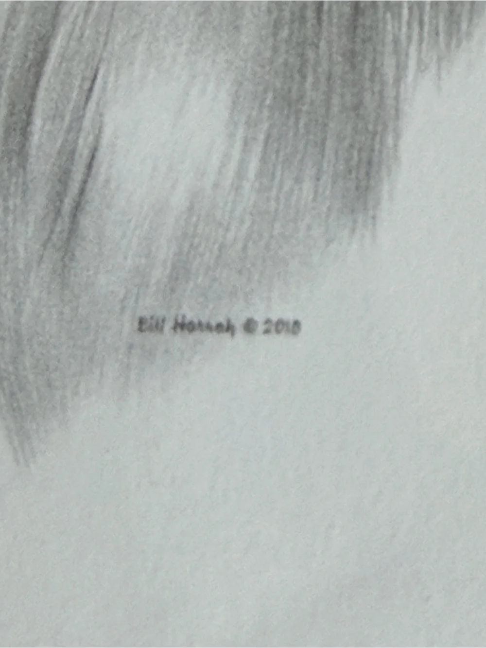 Papillon Dog Note Cards (8) Fine Art Drawing - Bill Harrah 2010